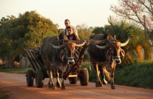 25 de Julho: uma data histórica para os colonos e os motoristas