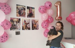 Um ano de muito amor e dedicação aos cãezinhos