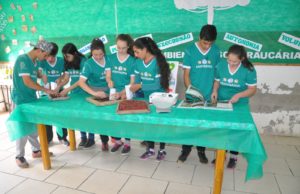 Muito mais do que sementes