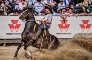 Santa-cruzense é campeão do Freio de Ouro