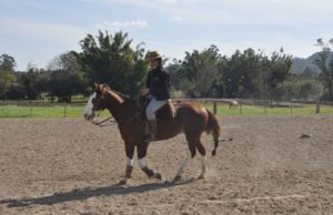 Luiza Lopes: Nascida para o Cavalo Crioulo