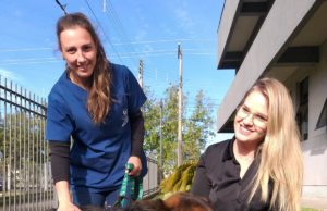 Até onde vai a maldade humana