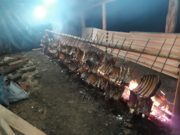 Festejos da Semana Farroupilha iniciam dia 11