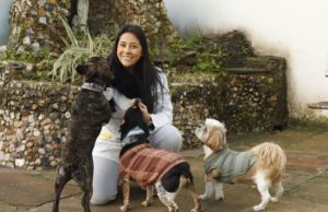 Do amor à busca pela valorização da profissão