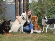 Dia dos Animais: A importância da conscientização