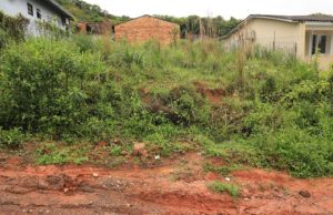 Terreno baldio no Carlota atrai cobras às residências