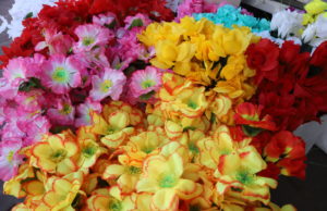 Bazar Utili: diversas opções em flores