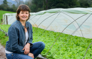 Dia do Produtor de Tabaco: Mulheres assumem protagonismo nas lavouras