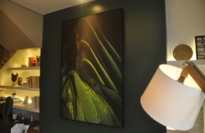 Criarte marca presença na Casa & Design