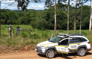 Furto abigeato diminui 45,65% na região