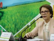 Governo Federal: Publicada portaria para garantir funcionamento do setor agropecuário