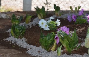 Santa Cruz: Residentes transformam ambiente do Albergue Municipal