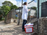 Pesquisa conclui testes rápidos de Covid-19