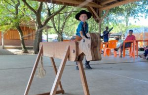 MTG lança concurso virtual de vaca parada