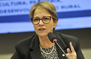 América Latina e caribe assinam declaração para garantir alimentos