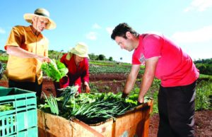 Garantia-Safra: Governo Federal lança serviço digital para transferências