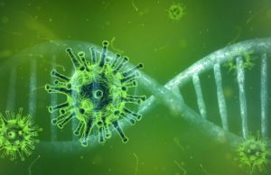 Estudo mostra que novo coronavírus consegue infectar neurônios humanos