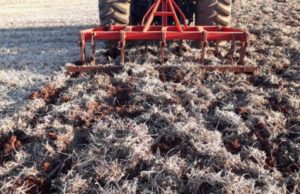 Dia Nacional de Conservação do Solo: Produtores devem redobrar os cuidados