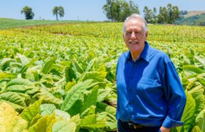 Diversificação completa 35 anos gerando renda extra aos produtores de tabaco