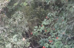 Feriadão registra três mortes em Santa Cruz