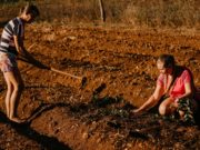 ARISE mostra em minidocumentário como mudar a realidade de jovens no campo