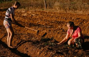 ARISE mostra em minidocumentário como mudar a realidade de jovens no campo
