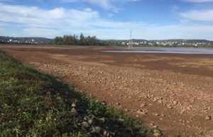 Estiagem: nível do Lago Dourado continua baixando