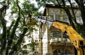 Mais uma etapa de manutenção do Túnel Verde será realizada no domingo