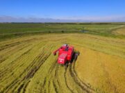 PIB do Rio Grande do Sul cai 3,3% no primeiro trimestre
