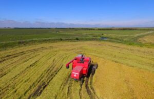 PIB do Rio Grande do Sul cai 3,3% no primeiro trimestre