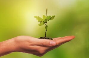 Reciclo: Cuidado especial com a natureza