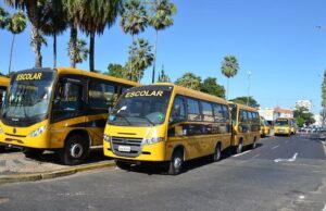 Consulta pública vai definir especificações de novos ônibus escolares