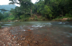Rodrigo Rabuske defende implantação de programa Protetor das Águas