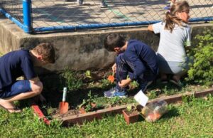 Educar-se: Buchas vegetais estão prontas para colheita