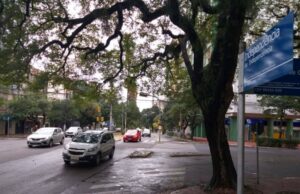 Defesa de suspensão ou de cassação da habilitação pode ser feita via internet