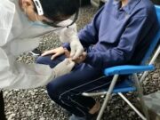 Covid-19: pesquisa própria do Vale do Rio Pardo com testes rápidos aponta letalidade baixa na região