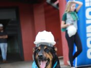 Morre Cabeção, símbolo da causa animal em Santa Cruz e região