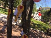 Projeto “Abra oportunidades com o Rotaract” ocorreu em Santa Cruz