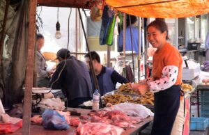 Epidemias que já surgiram na China