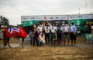 Égua da Cabanha Quaraci, de Santa Cruz do Sul vence o Freio de Ouro 2020