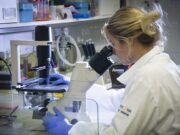 Pesquisa comprova que Covid-19 é também doença vascular