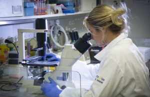 Pesquisa comprova que Covid-19 é também doença vascular