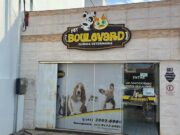 Clínica Boulevard: amor e carinho com seu pet