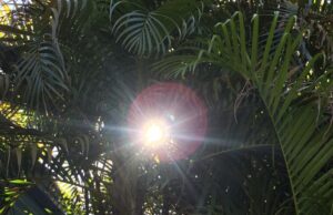 Semana será de sol em Santa Cruz do Sul