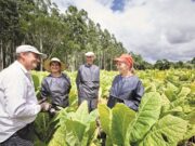 Philip Morris Brasil fortalece parcerias para o desenvolvimento sustentável dos produtores de tabaco