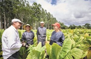 Philip Morris Brasil fortalece parcerias para o desenvolvimento sustentável dos produtores de tabaco
