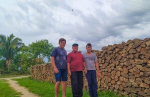 Dia do Produtor de Tabaco: cultura que passa de geração em geração