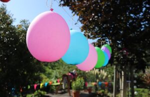 Secretaria da Saúde discute protocolo de segurança para eventos infantis