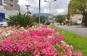 Saiba como fica o tempo para o final de semana em Santa Cruz