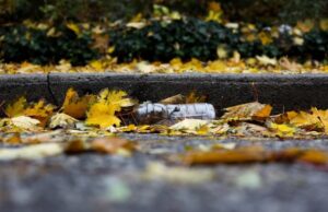 II Semana Lixo Zero de Santa Cruz vai contar 72 ações sobre sustentabilidade e educação ambiental